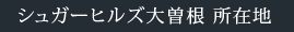 シュガーヒルズ大曽根 所在地